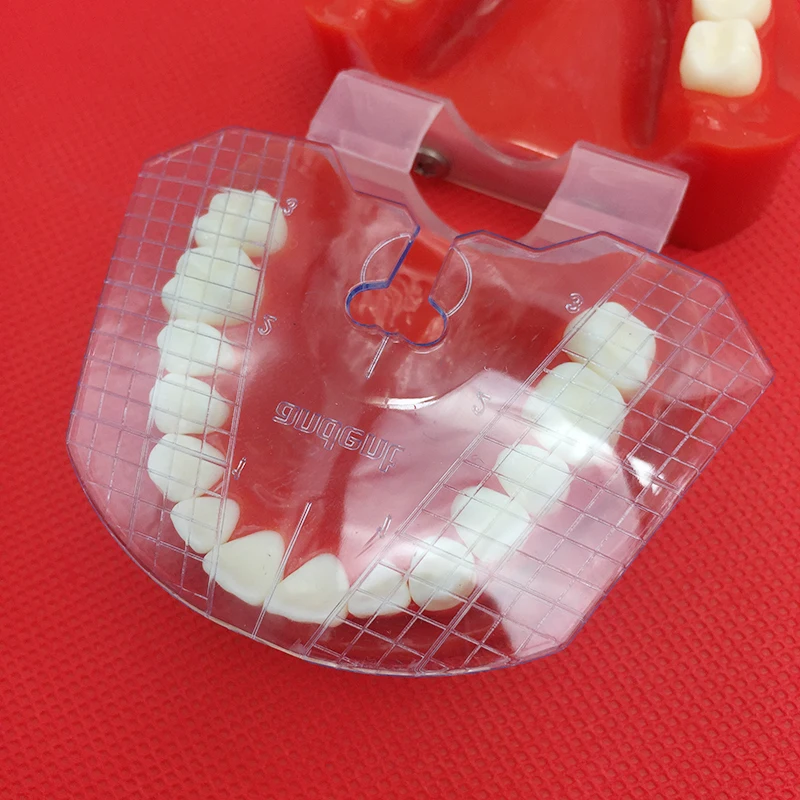 1pcs dantų lab dantų vadovas plokštė dantų susitarimą dėl dantų protezų įrankiai dantų tiekimo dantų