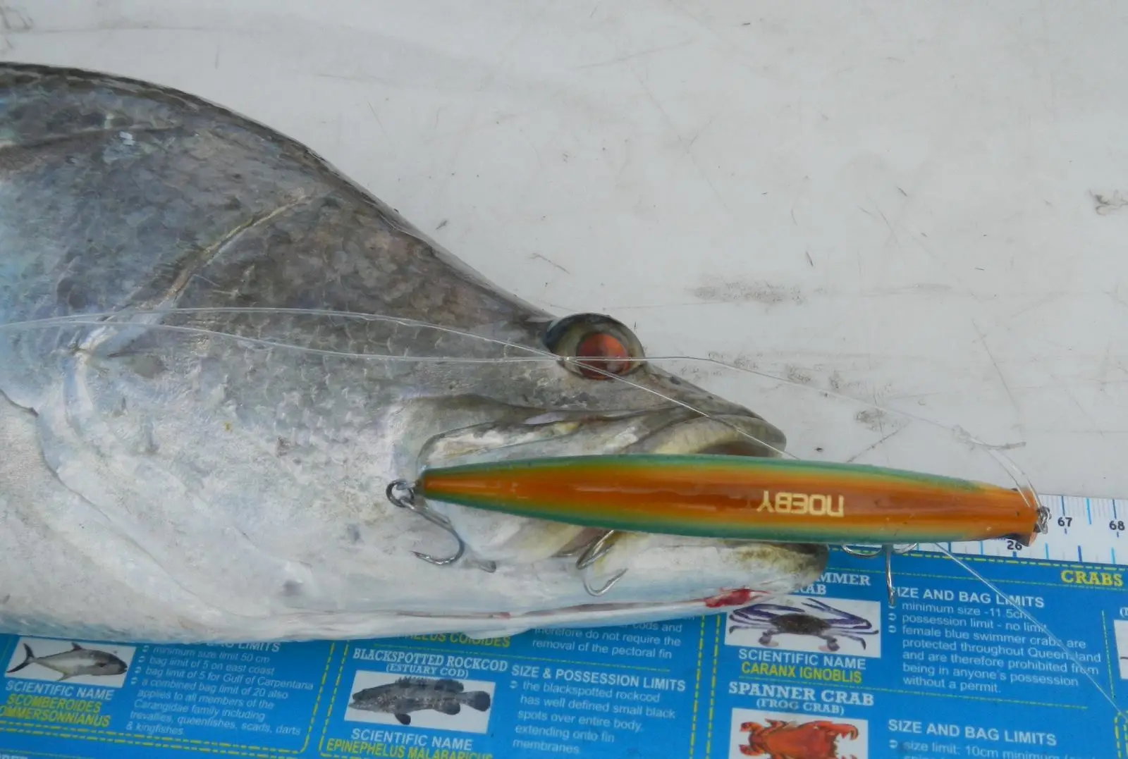 NOEBY žvejybos masalas worrble minnow suvilioti sunku masalas jūros ešerys 120mm 16g&150mm 24g plūduriuojantis jerkbait naršyti bass žvejybos masalas