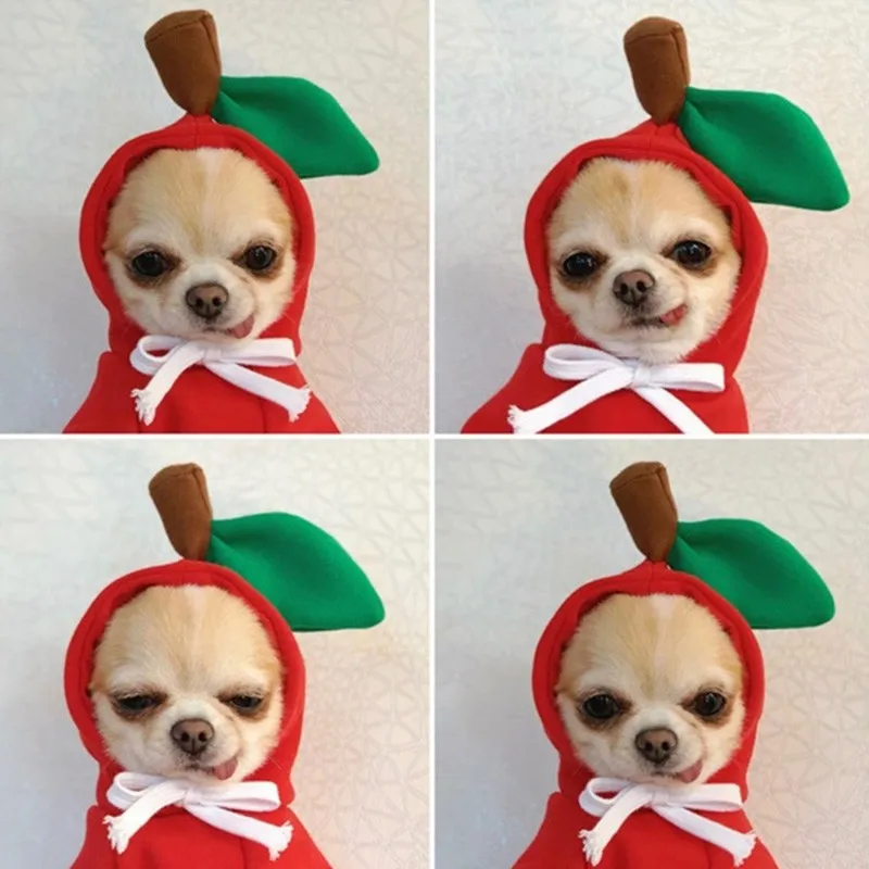 Yomiga Žiemos Drabužius šunims, Karikatūros vaisių Mielas šuo Hoodie kailis lauko šiltas Šuniukas, Mažos ir Vidutinės Šunims, pritaikytas drabužiai Kalėdų