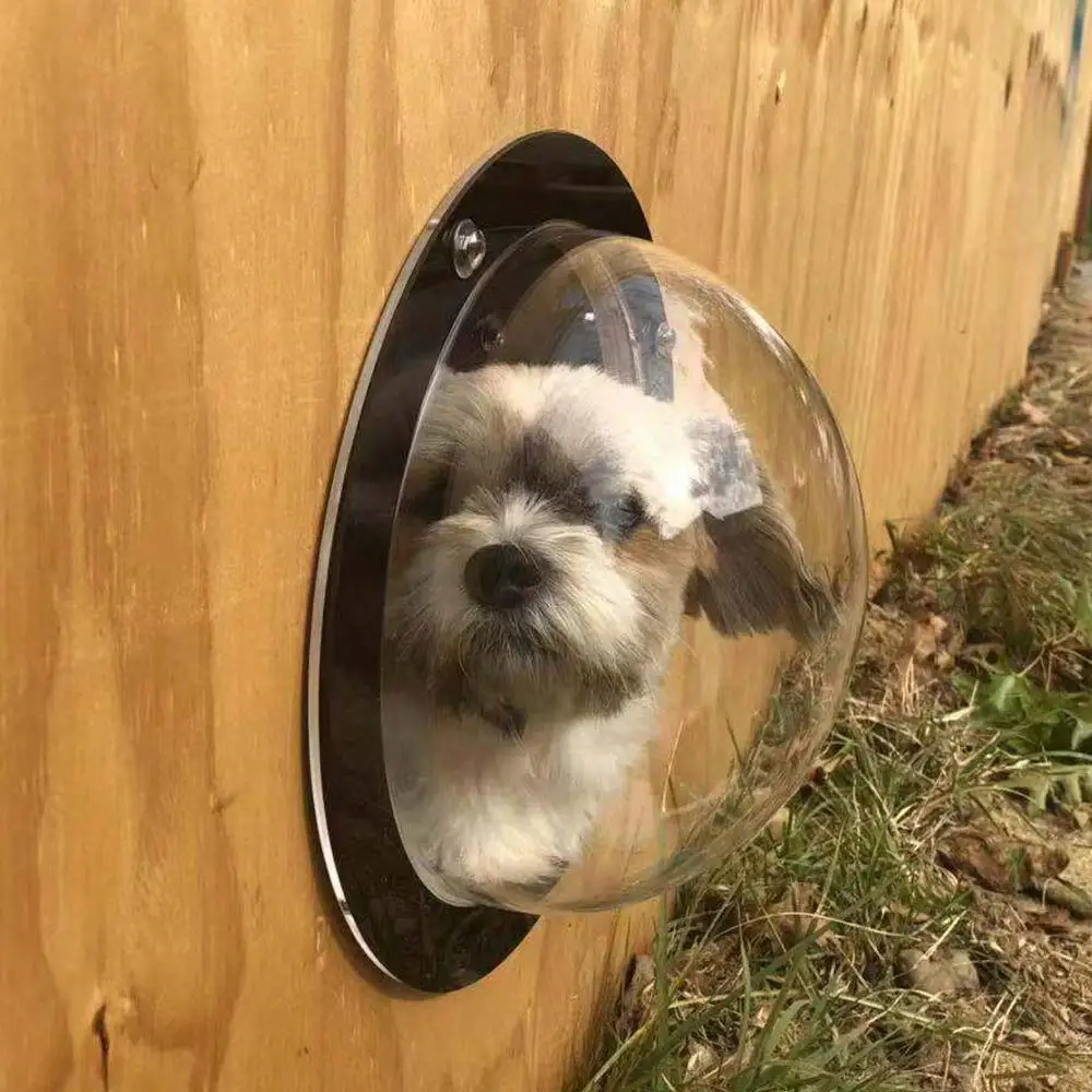 Šuo Tvora Langą Akrilas Skaidrus Burbulas Durų Lango Šunys Matyti Ne Kieme, Patvarus Šuo Vartų Naminių Reikmenys
