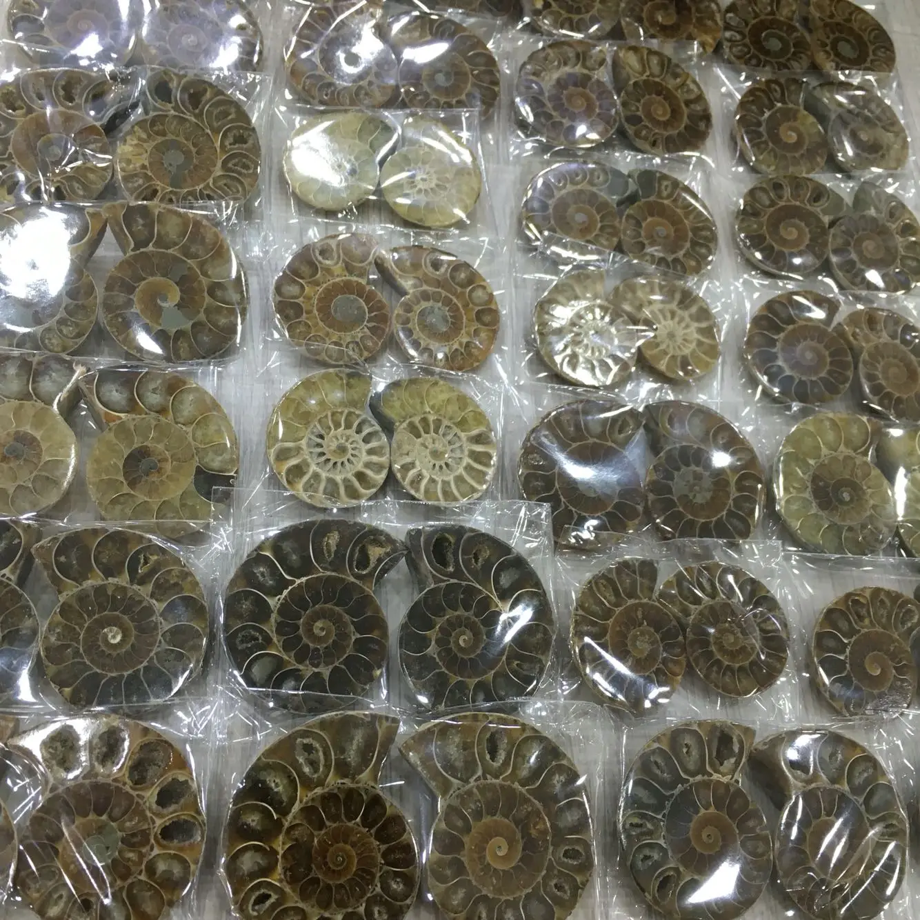 Ammonite Iškastinio Pavyzdys Shell Gydymo Apdailos Madagaskaras Gamtinių Akmenų, Mineralų, Išnykusios Gyvybės Iškastinio Mokymo Pavyzdys 200g