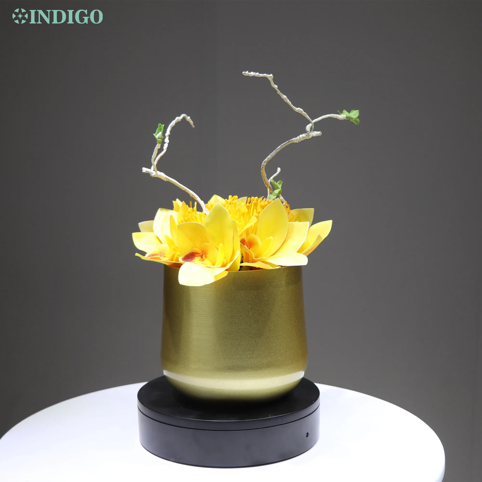 INDIGO, Geltona Cymbidium (1 Rinkinys Su Pot) Orchidėjų Geltona Leucospermun Gėlių Bonsai Vestuves Biuro Stalo Apdailos