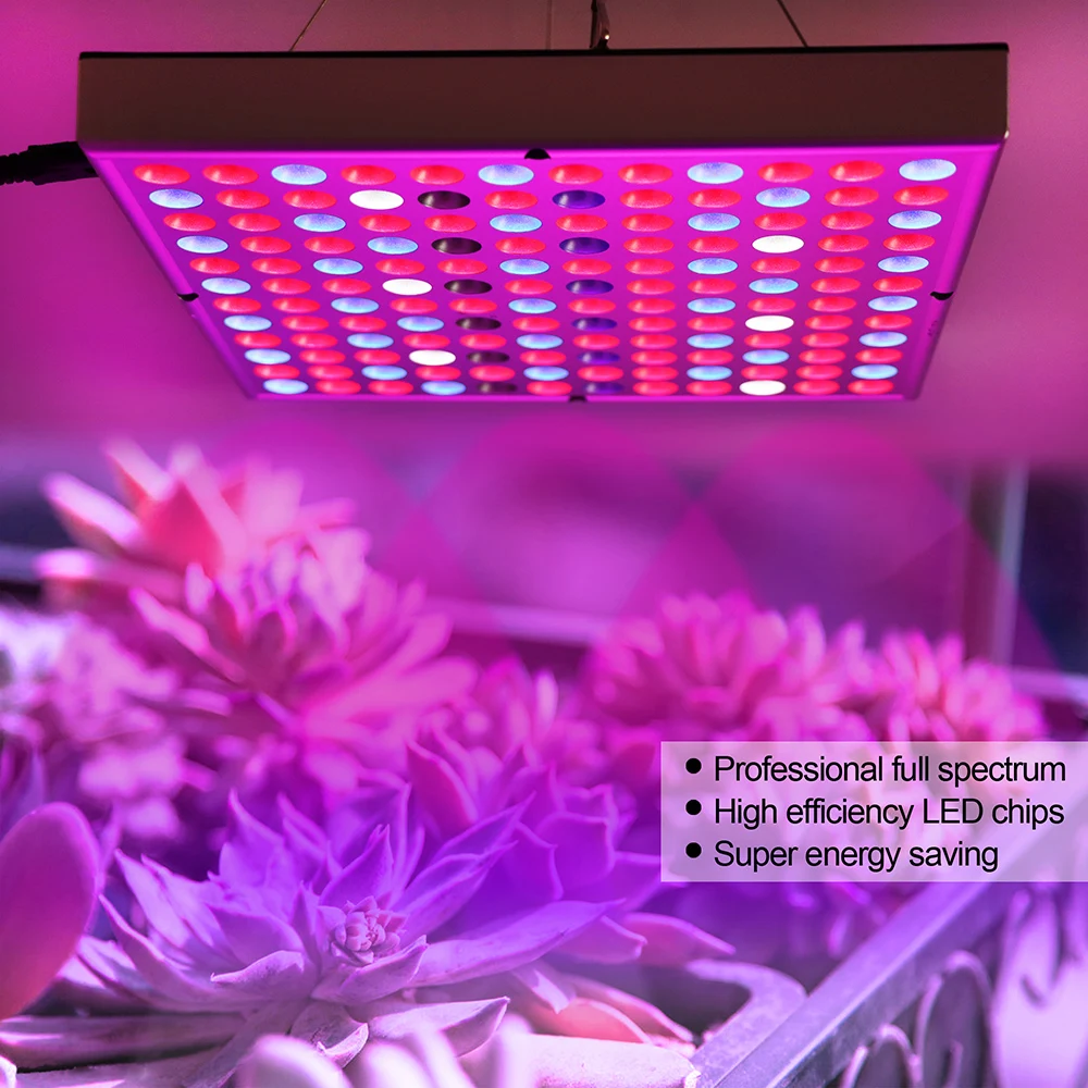 LED Augalų Auginimo Šviesos 81-312LEDs Visą Spektrą 25W-80W Kambarinių Augalų Daržovių ir Gėlių Įrenginiai su Daisy Grandinės, Funkcija D30