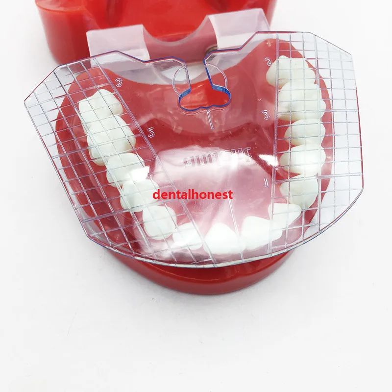 1pcs dantų lab dantų vadovas plokštė dantų susitarimą dėl dantų protezų įrankiai dantų tiekimo dantų