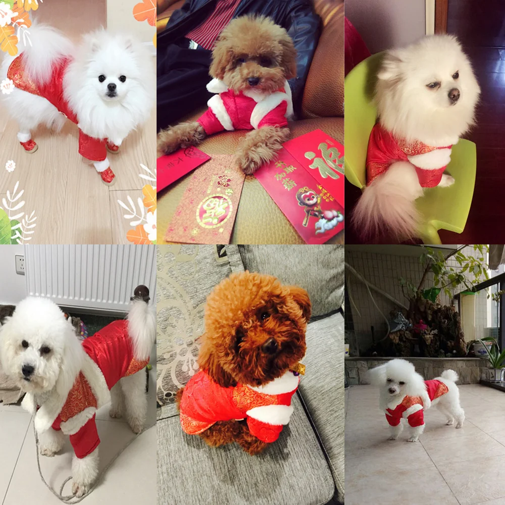 HOOPET Pet Šuo, Katė Kinijos Tradicinės Tango Kostiumas Rudens Žiemos Dviejų Kojų Tirštėti Medvilnės-paminkštintas Kalėdų Drabužius