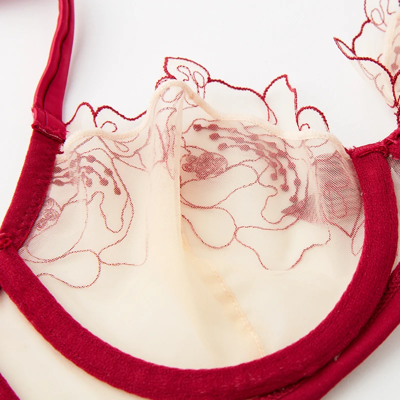 Prancūzijos apatiniai nustatyti moterų liemenėlės nėriniai siuvinėjimo tinklelio, seksualus skaidraus plono liemenėlė