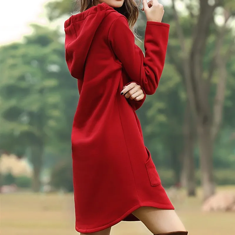 Naujas Plus size ilgomis rankovėmis mini moters suknelė su Gobtuvu Atsitiktinis Rudens Žiemos Kišenės suknelės moterims 2020 korėjos mados drabužiai
