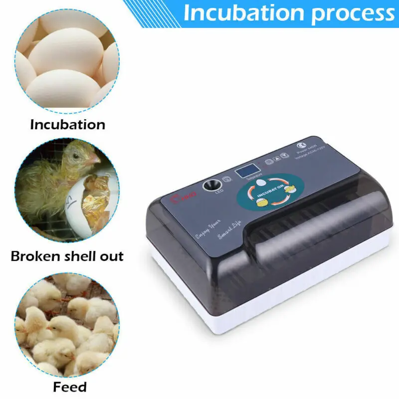 Profesinės 12 Kiaušinių Inkubatorius Pilnai Automatinis Skaitmeninis Tekinimo Vištienos Paukščių Hatcher Kiaušinių Tekinimo LED Lempos Ūkio Gyvūnų Reikmenys