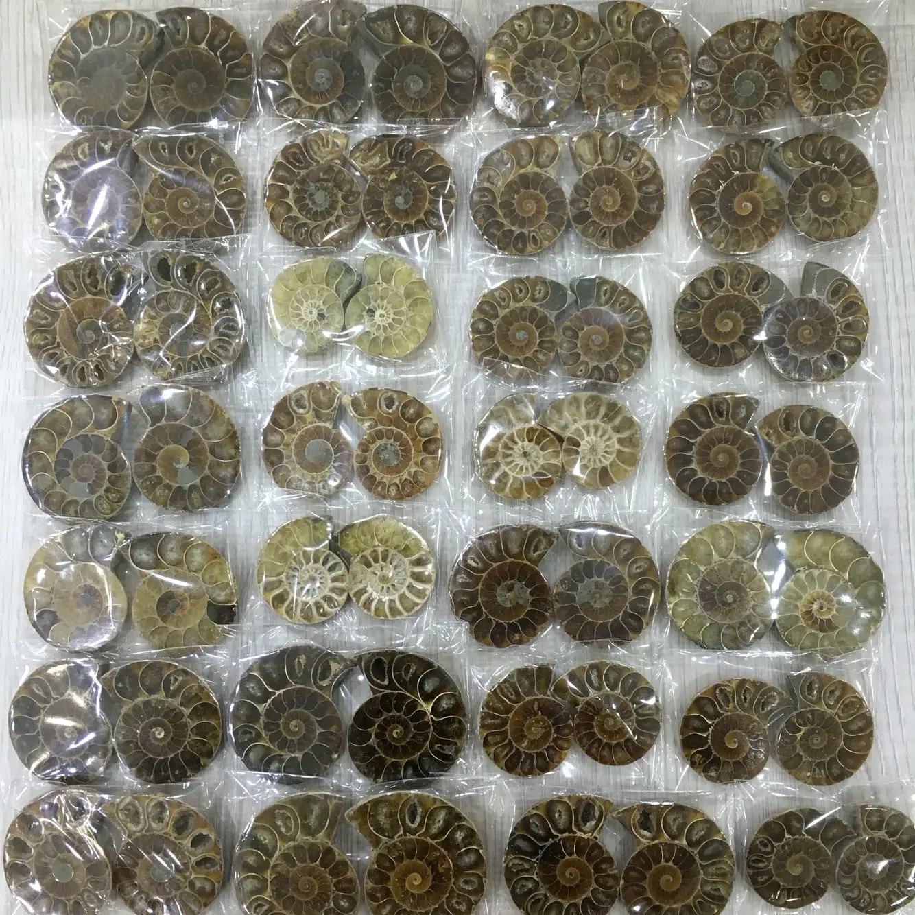 Ammonite Iškastinio Pavyzdys Shell Gydymo Apdailos Madagaskaras Gamtinių Akmenų, Mineralų, Išnykusios Gyvybės Iškastinio Mokymo Pavyzdys 200g