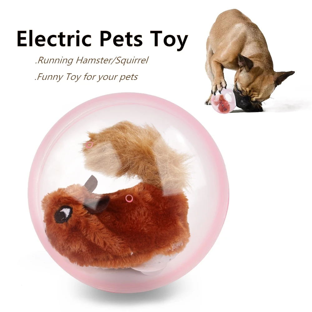 Elektroninių Naminių Žaislų Kamuolį, Šuo, Katė Veikia Žiurkėno Gyvūnų Kamuolys Interaktyvūs Žaislai Slinkimo Juokinga Šuns Žaislas E-pet