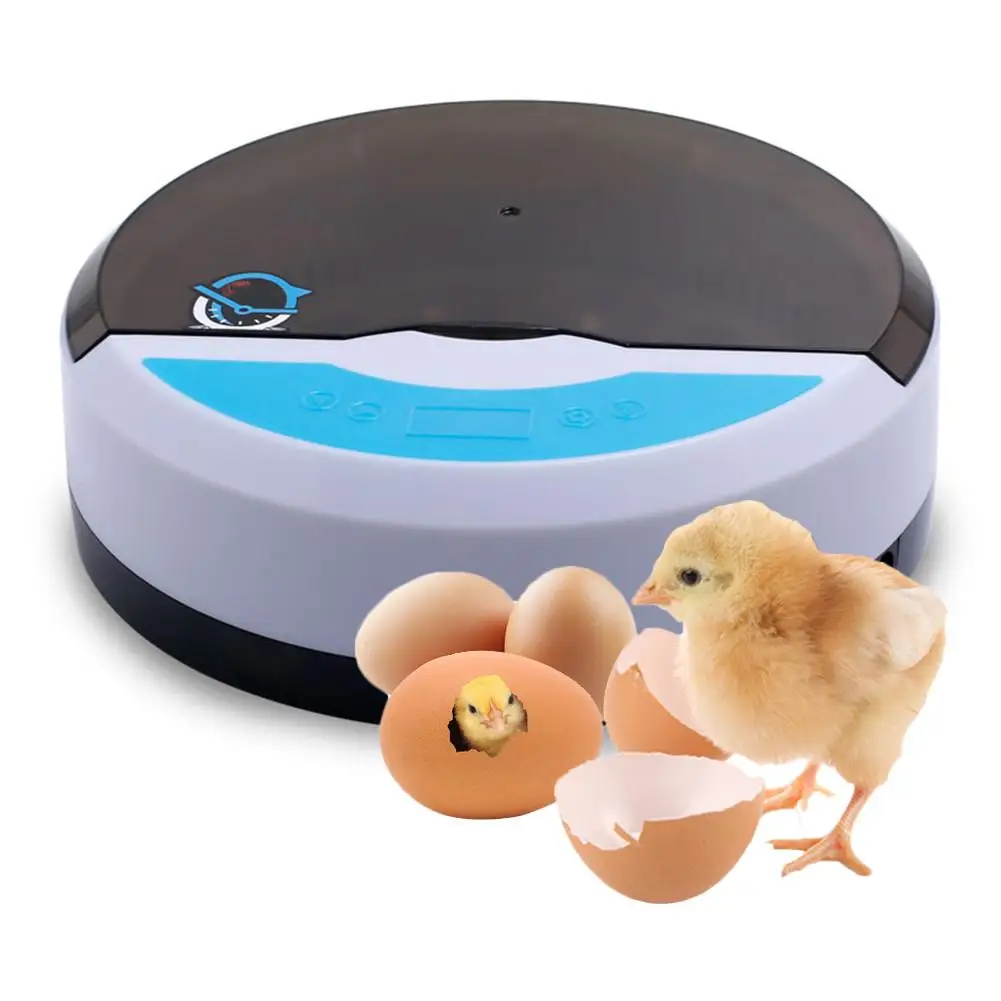 Naujausias Kiaušiniai Inkubatoriaus Automatinis Skaitmeninis Kiaušinių Veisėjas Home mygtuką, Automatinis Skaitmeninis Ančių Kiaušinių Veisėjas naminių Paukščių Perykla Prietaisas
