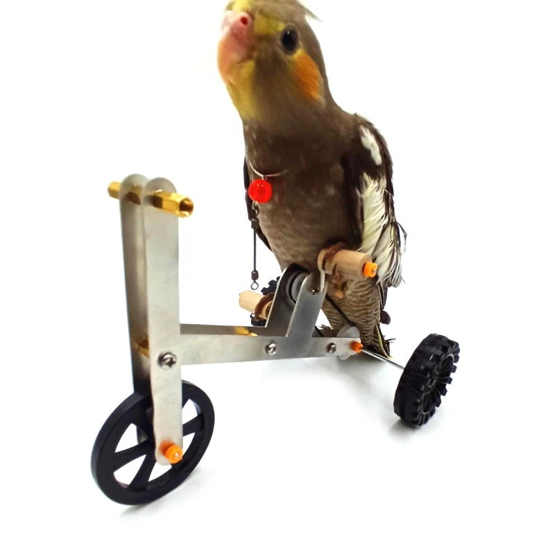 Juokinga Papūga Mini Metalo Dviratį Žaislas Paukščiams Mokymo Plaything Švietimo Interaktyvus Rekvizitai dėl Papūga Cockatiel Conure Lovebird