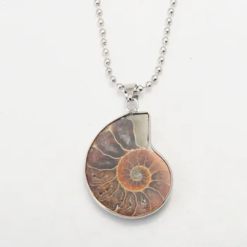 10vnt Natūralaus Akmens Ammonite Fosilijos Seashell Sraigė Pakabučiai Vandenyno Reliquiae Myli Gyvūnų Karoliai Pareiškimą Vyrų Papuošalai