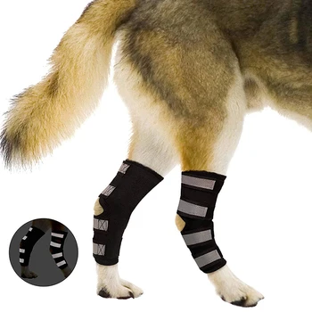 Šunelis Kojos Įtvaras Dešinės Kojos Kelio Hock Petnešomis Tvarsčiai Dirželiai Apsaugos Šuo Sąnario Tvarstis Wrap Šuo Atkūrimo Prekes