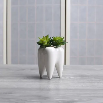 Baltos spalvos Keramikos Vazonas Dantų Puodą Sultingi staliukas Vazoninių Augalų Namų Puošybai Bonsai Žaliųjų Augalų Vazoninių