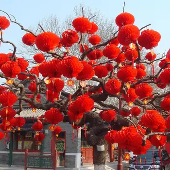 Behogar 20PCS 18cm Vandeniui Laimę Raudono Popieriaus Žibintų Kinijos Naujųjų Metų Pavasario Šventė Šalies Šventė Namų Dekoro
